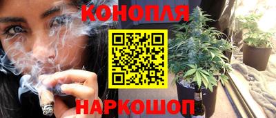 гидропоника Партизанск