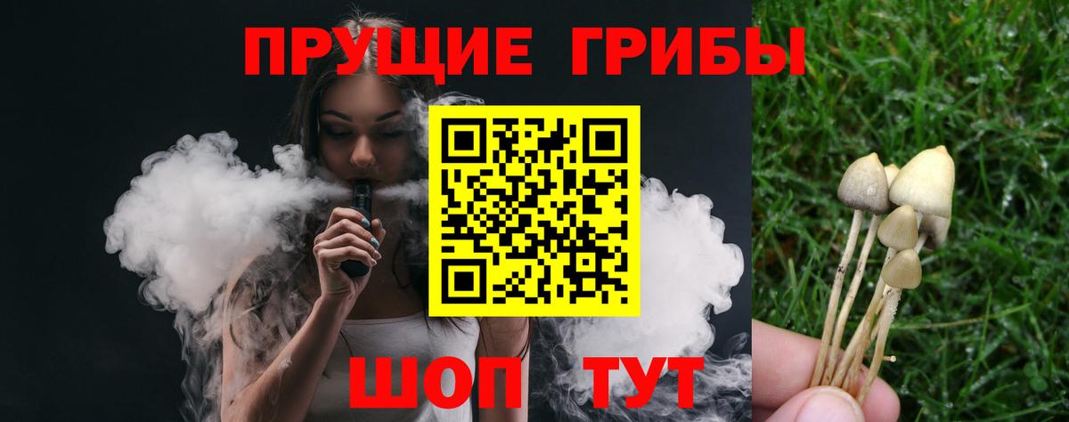 Галлюциногенные грибы прущие грибы Старая Купавна